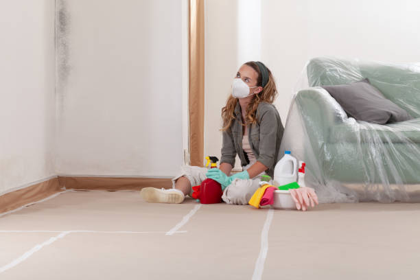 Reliable Commercial Mold Remediation contractor in Sachse, TX by 24 Hour Mold Removal